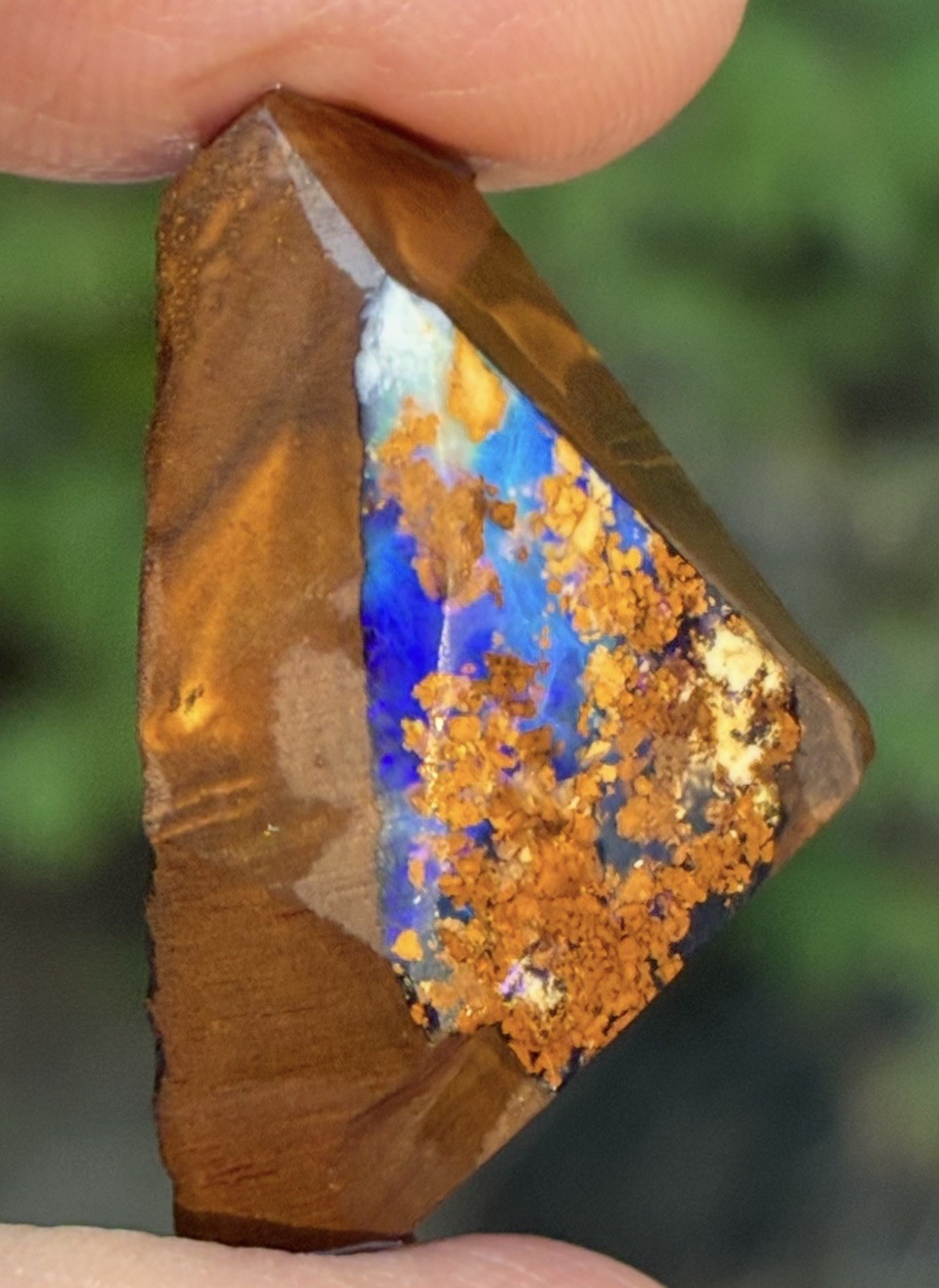 44ct Australian Boulder Opal Rough Loose Specimen Blue