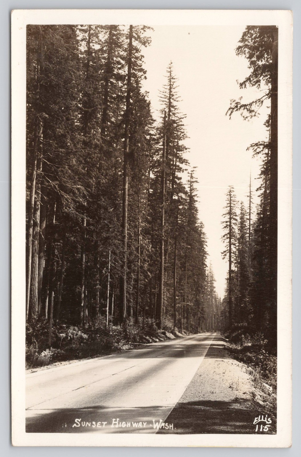 RPPC Sunset Highway Washington WA Real Photo Ellis Postcard