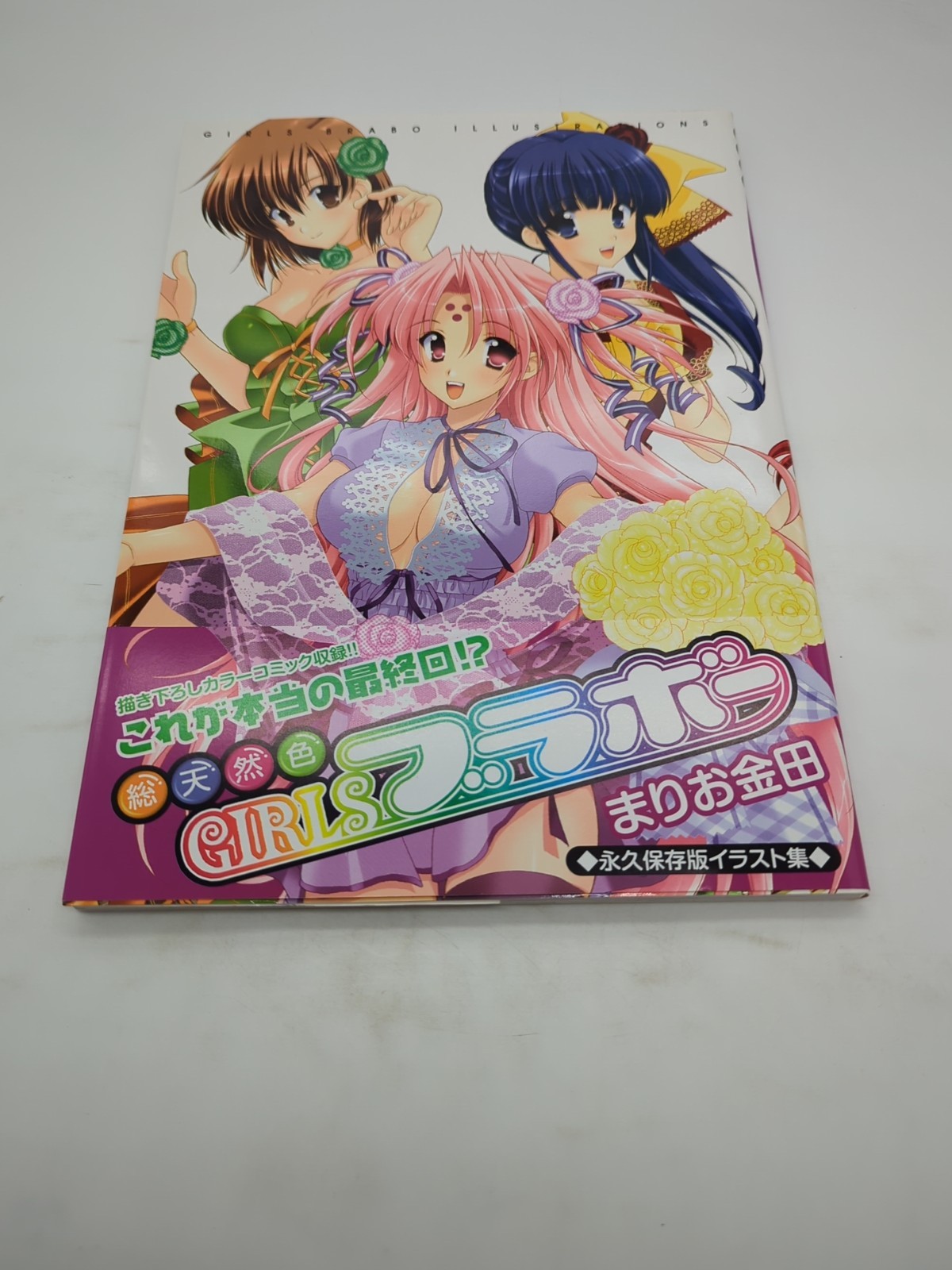 GIRLS BRAVO Art Works MARIO KANEDA Fan Sony PS2 Japan Book 2005 KD01