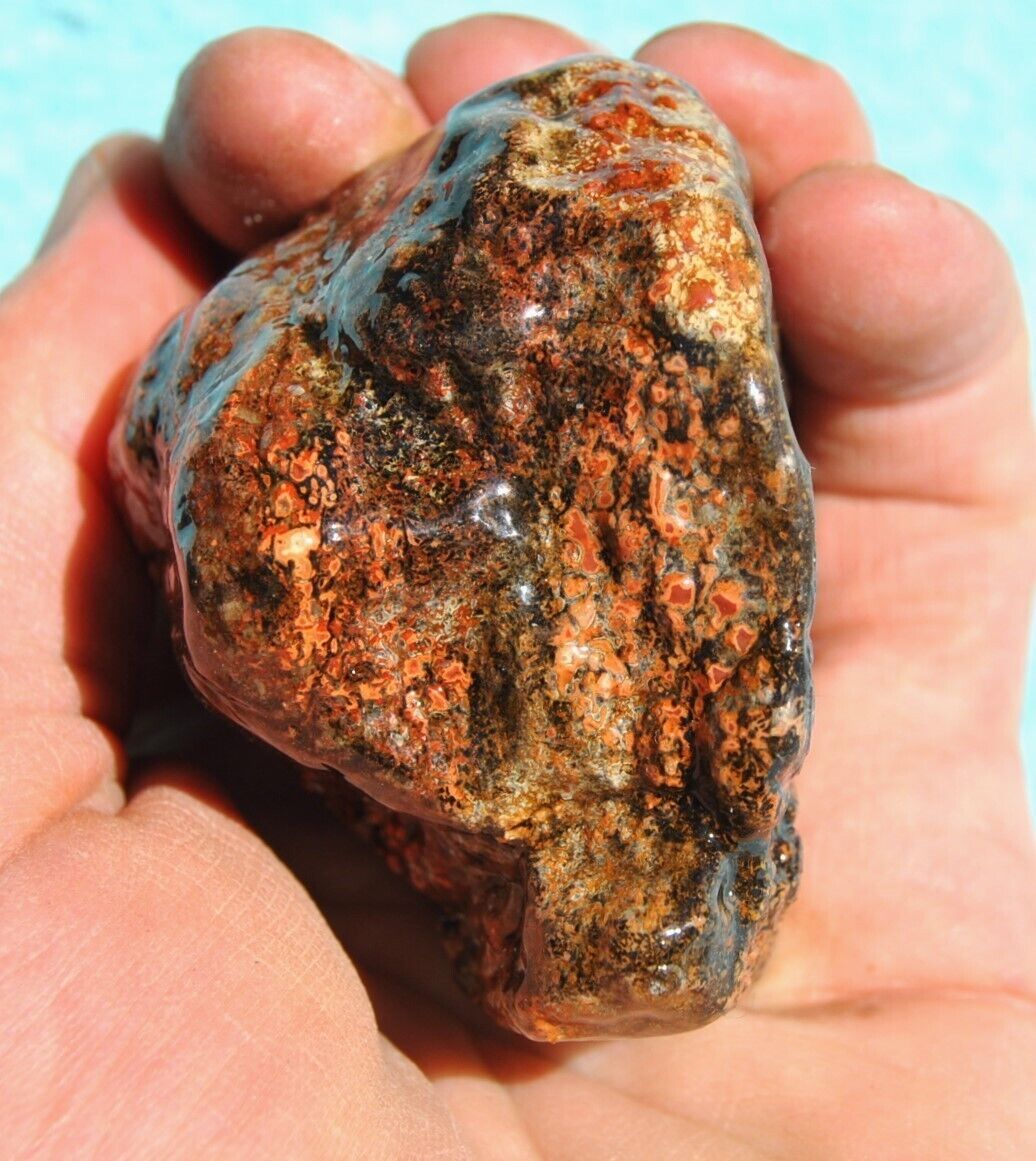 Dinosaur Gembone (Ruby Red Ball Joint) Agatized Petrified Jurassic 182gr-6.3oz