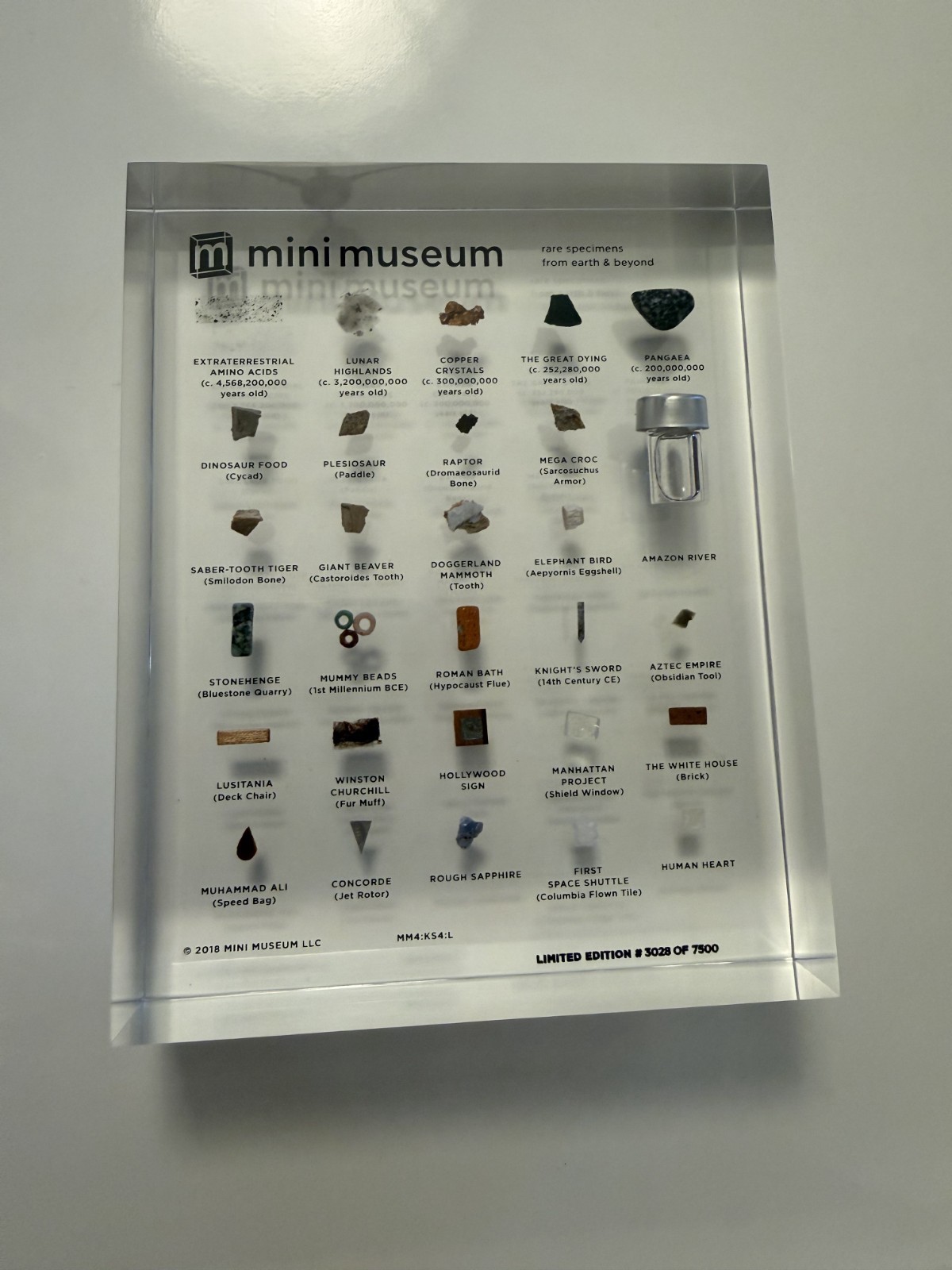 Mini Museum Acrylic Display Block w/ Assorted Natural Specimens - 4th Edition