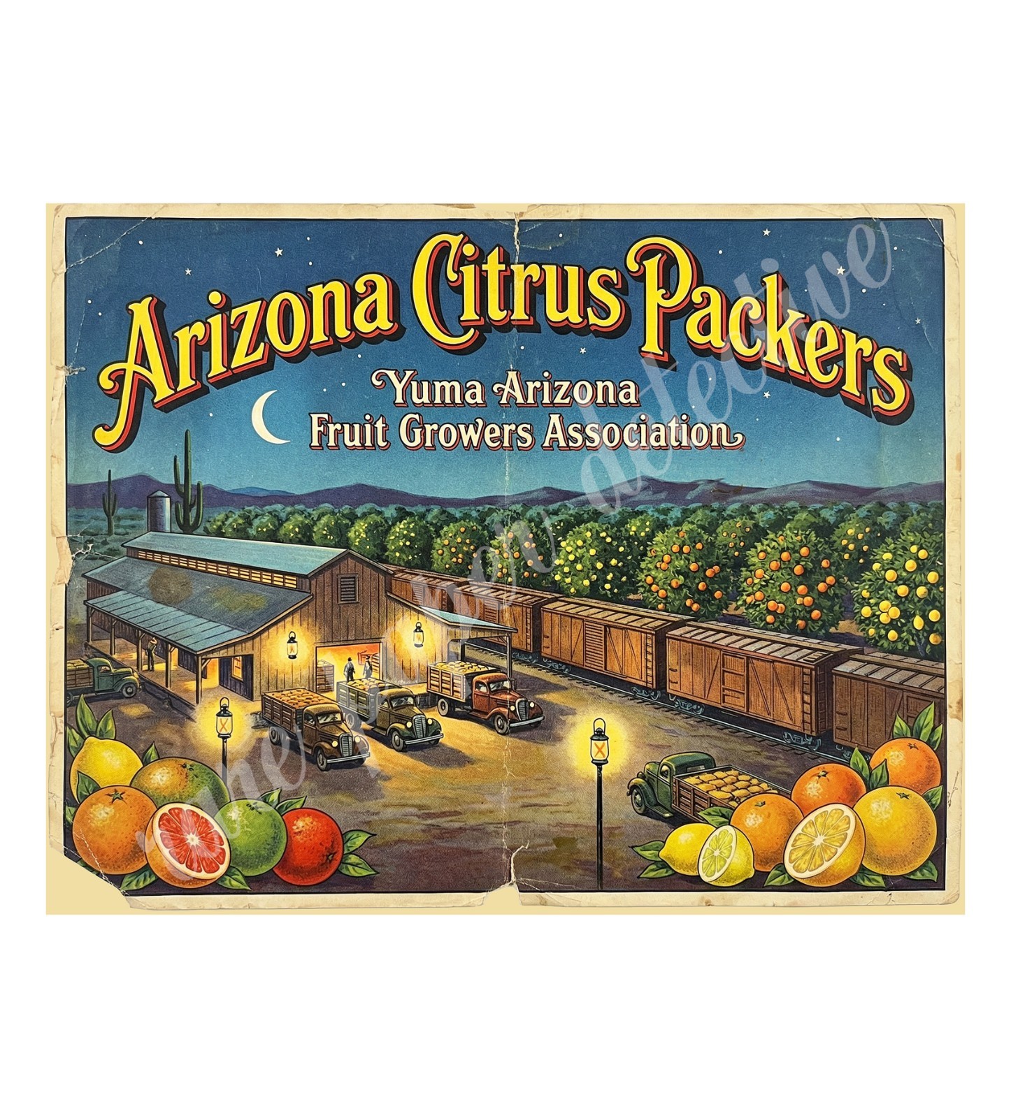 Yuma Arizona Citrus Packers 1950s Retro Style Fruit Crate Label 8