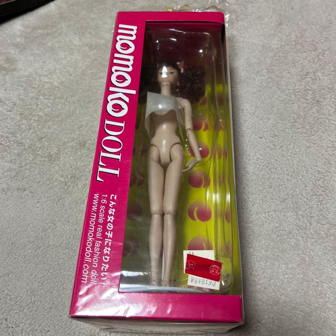 Sekiguchi Momoko Doll 1/6 Fashion Doll Collectible 13+
