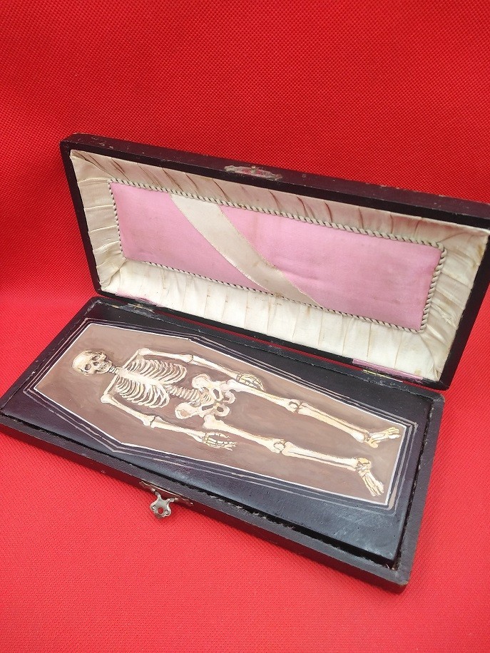 Antique coffin skull, Vintage Skull Casket ,Momento Mori ,Victorian ,Art Deco