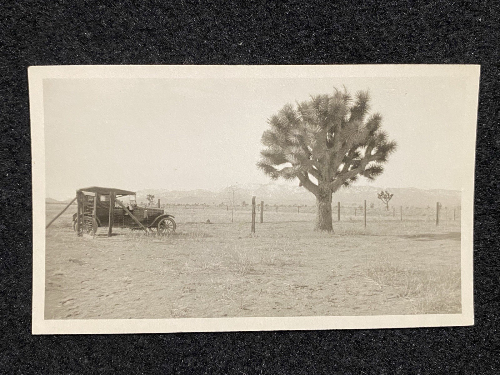Joshua Tree California CA Automobile Car Riverside Co. Antique Snapshot Photo