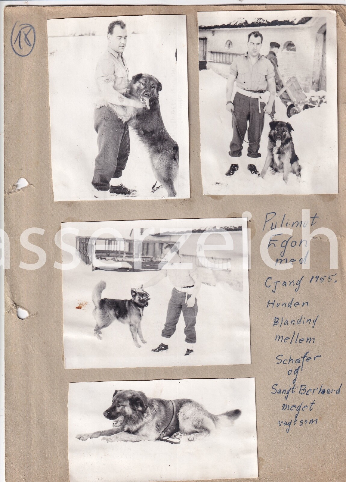 8 Original Photos Military 1954/55 Dog Squadron Winter Approx 11x8.5cm (AN1238)