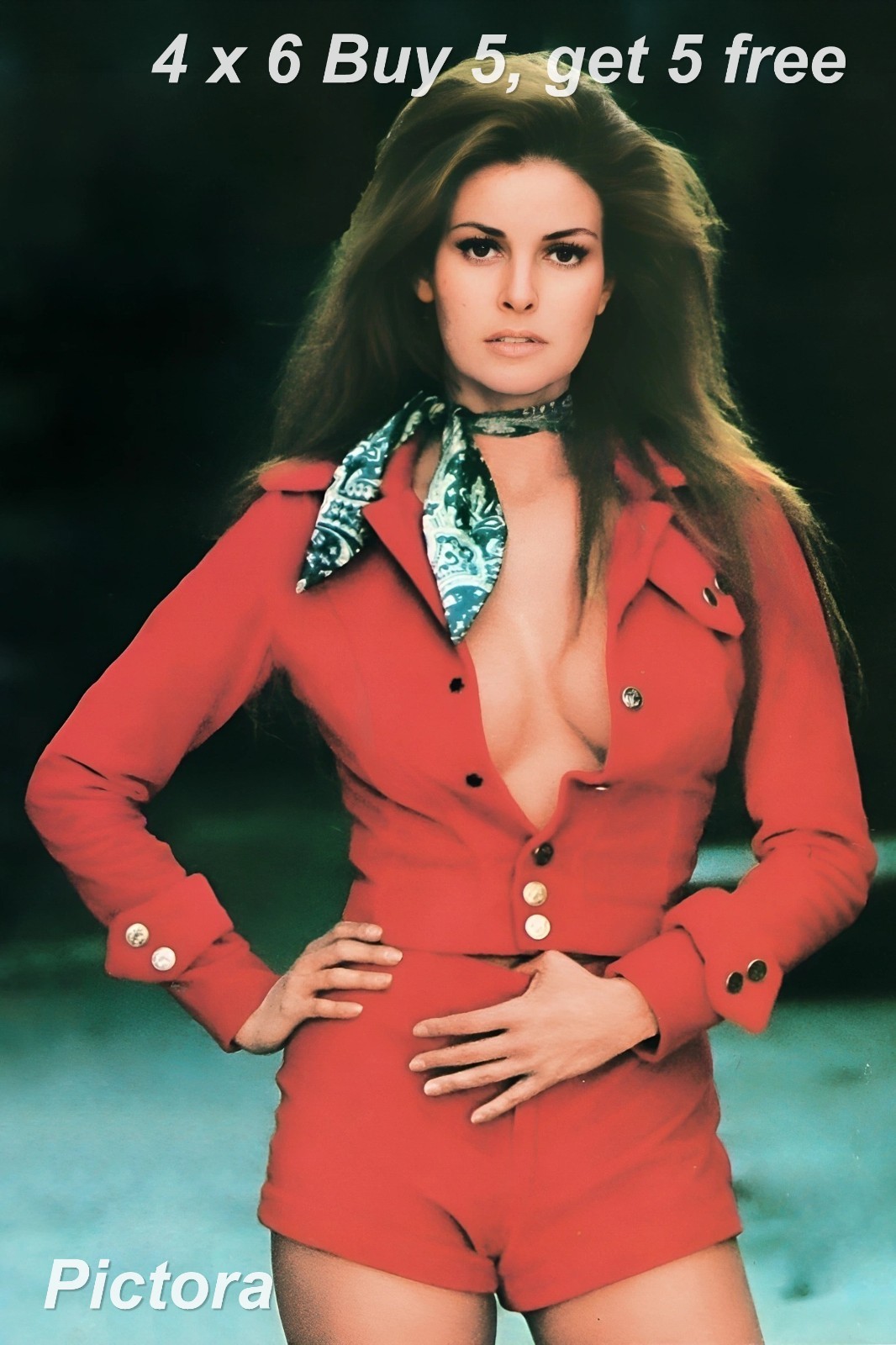 RAQUEL WELCH 4x6 Publicity Photo 1960s Hollywood Star Vintage Portrait Print