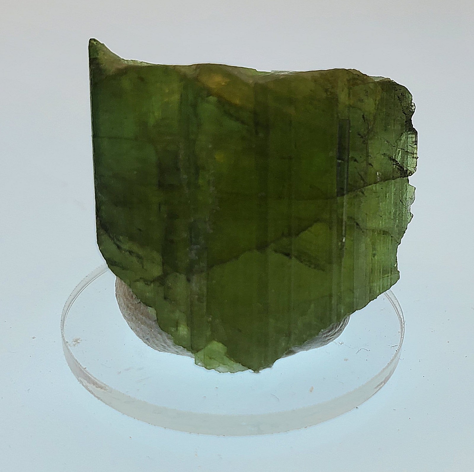 50ct Brazilian Green Tourmaline Crystal Specimen