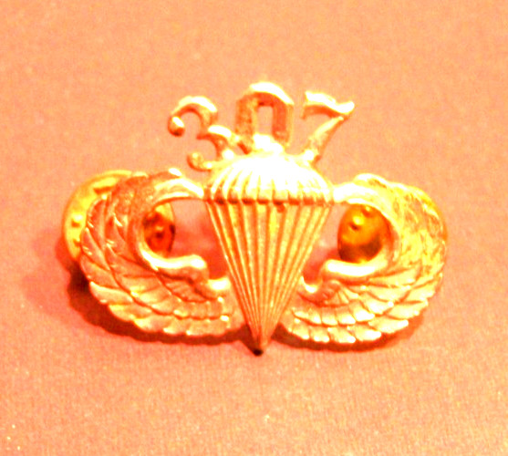Vintage Parachutist 307th Parachute Infantry Regiment Wings Badge