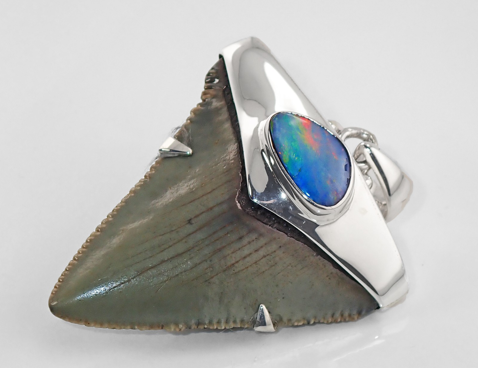 Fossil Shark Tooth Pendant – Carcharocles megalodon w Silver Cap and Opal Accent