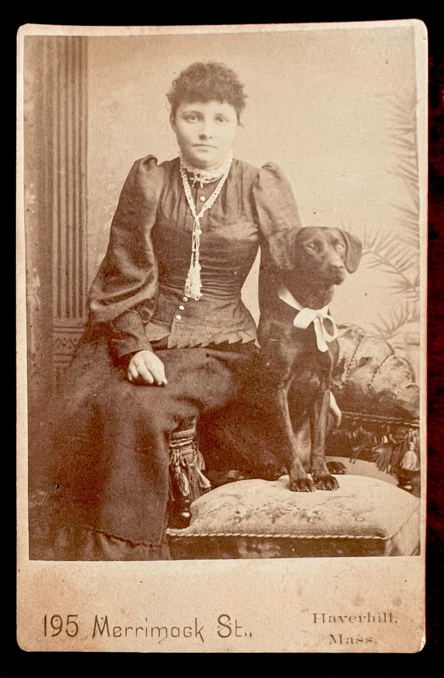 Cabinet Card  1893  Lady & Black Dog in Haverhill Massachusetts - Flossie Wise
