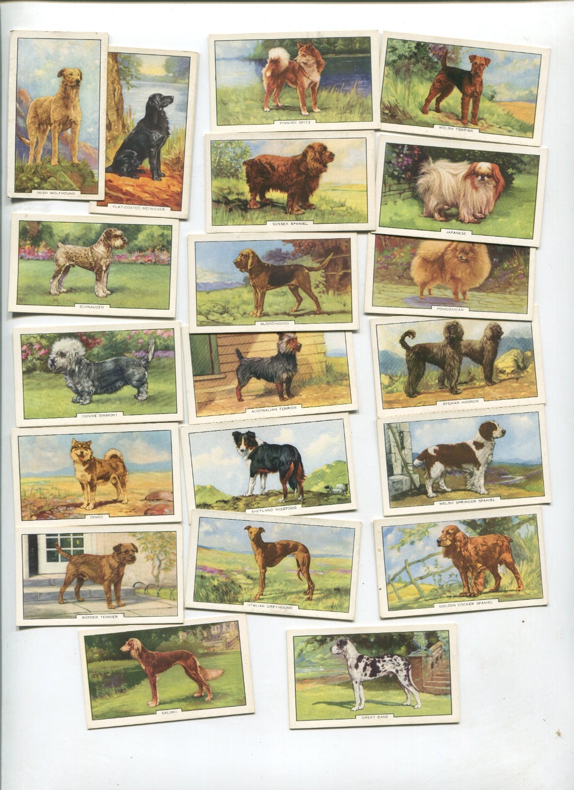 1938 GALLAHER LTD. DOGS 20 DIFFERENT TOBACCO CARD LOT 2ND SERIES 1938 GALLAHER LTD. DOGS 20 DIFFERENT TOBACCO CARD LOT 2ND SERIES