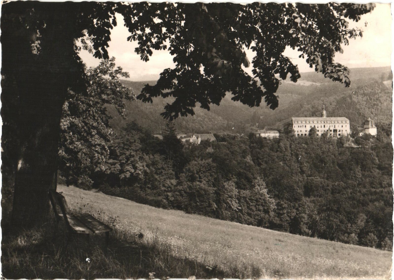 Schwarzburg Germany Thuringia View of Castle RPPC Real Photo Postcard 1961