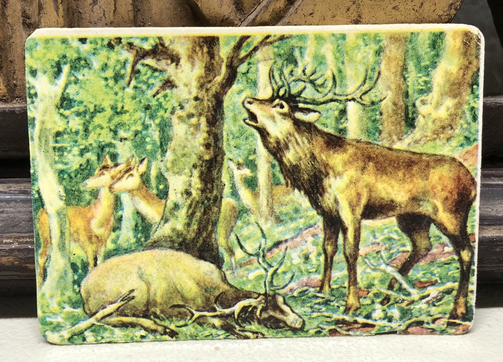 c1930s The Victor Trade Card Print by E. Heller #375 Austria L7