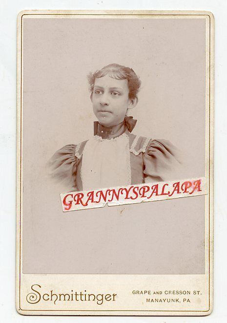 Cabinet Photo - Manayunk, Pennsylvania, Lady, Fancy Dress Ribbon at Neck 