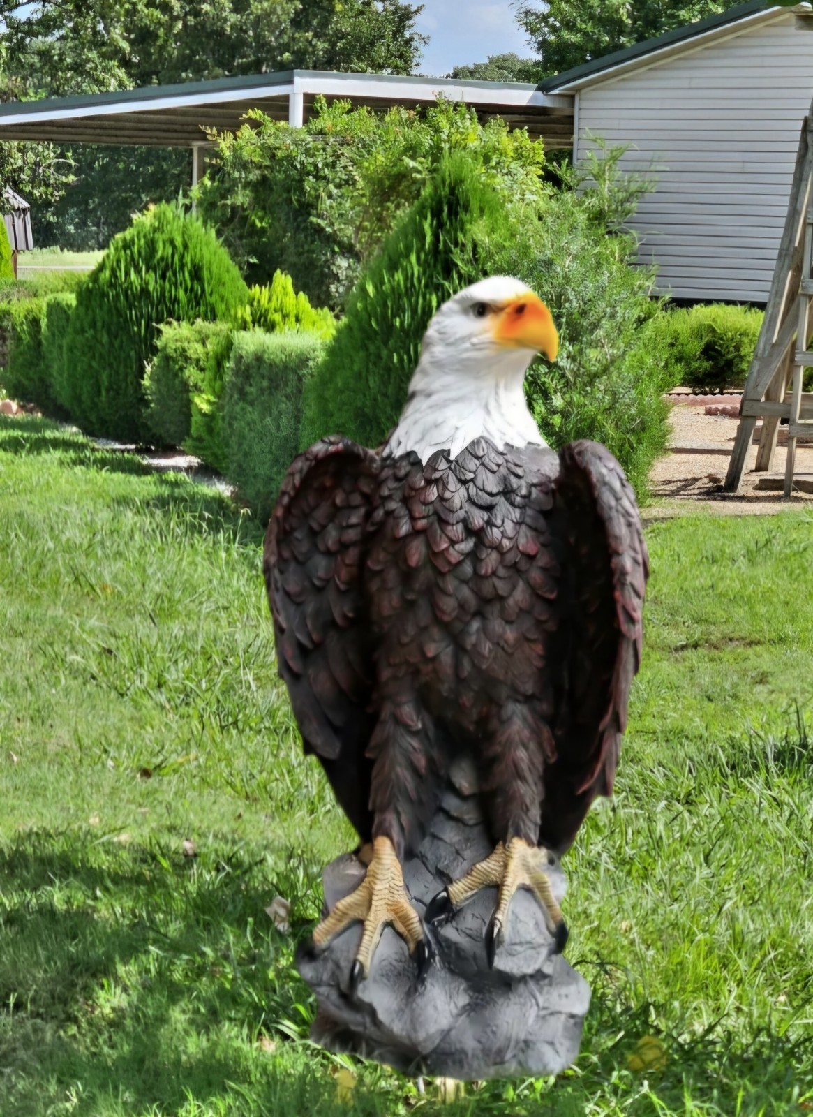 Eagle Statue Outdoor - Large American Eagle Figurine for Garden, Yard...... Eagle Statue Outdoor - Large American Eagle Figurine for Garden, Yard......