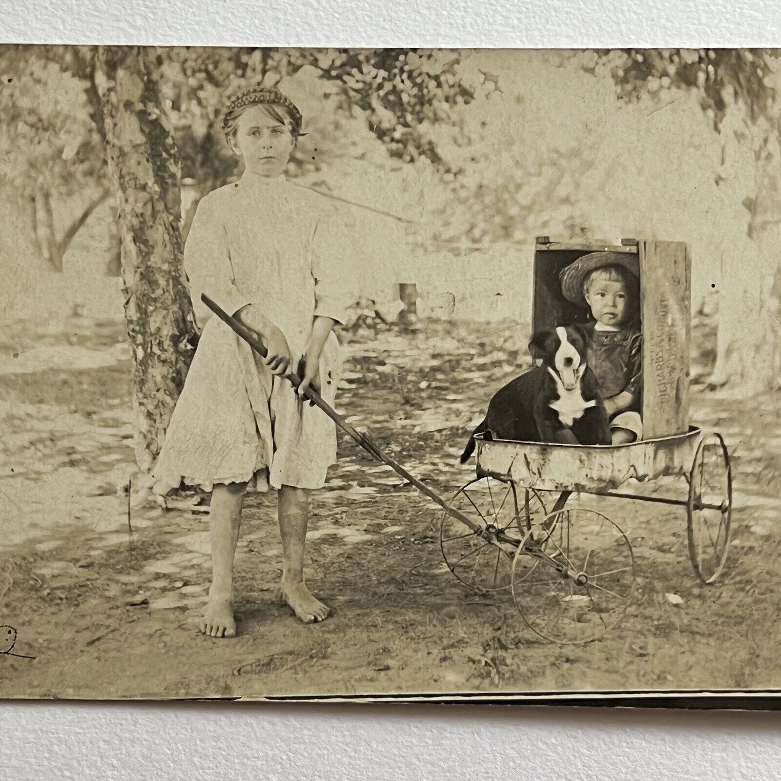 Antique RPPC Real Photograph Postcard Children Playing Dog In Wagon Wood Crate