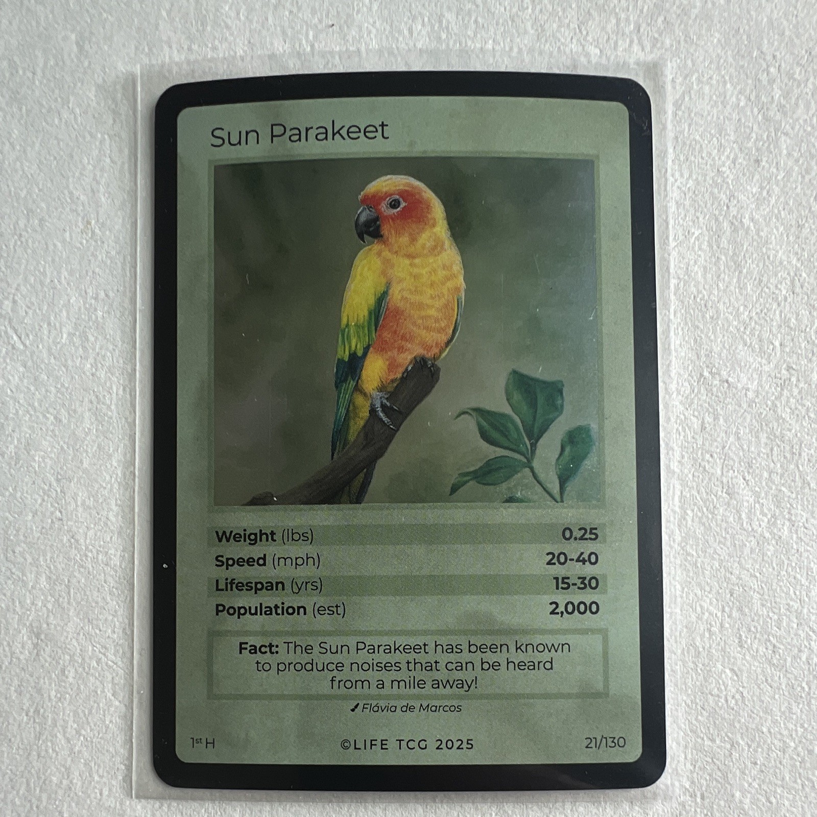 Life TCG 2025 Sun Parakeet 1st Edition - Flávia de Marcos 21/130 Hologram