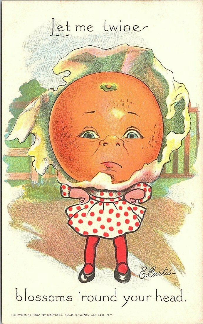 LITHO Artist-Signed E. Curtis Anthropomorphic Orange 1907 Raphael Tuck