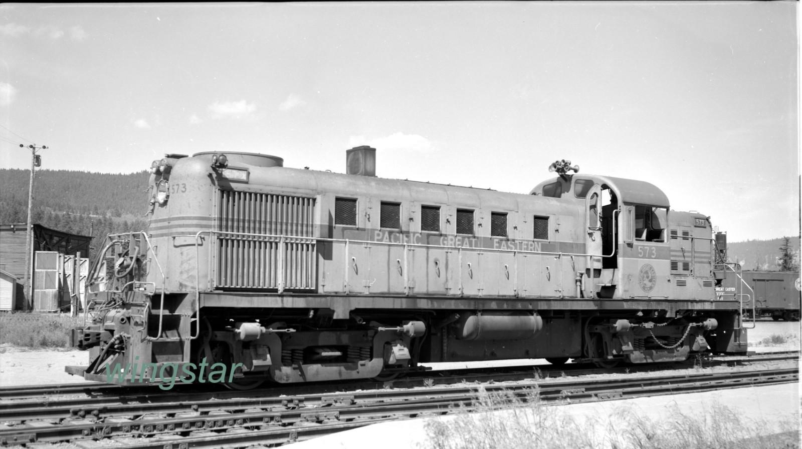 Original Negative Pacific Great Eastern Railway PGE 573 Moose Logo  1958 Vintage