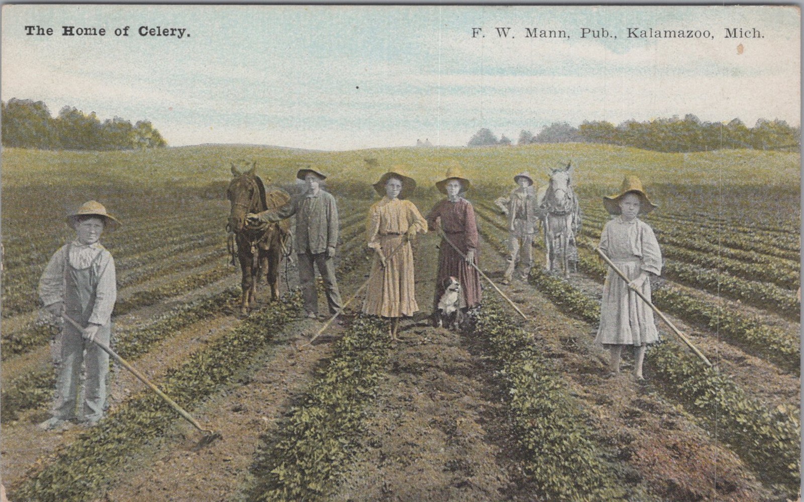The Home Of Celery Michigan MI Kalamazoo Farm Laborers Postcard