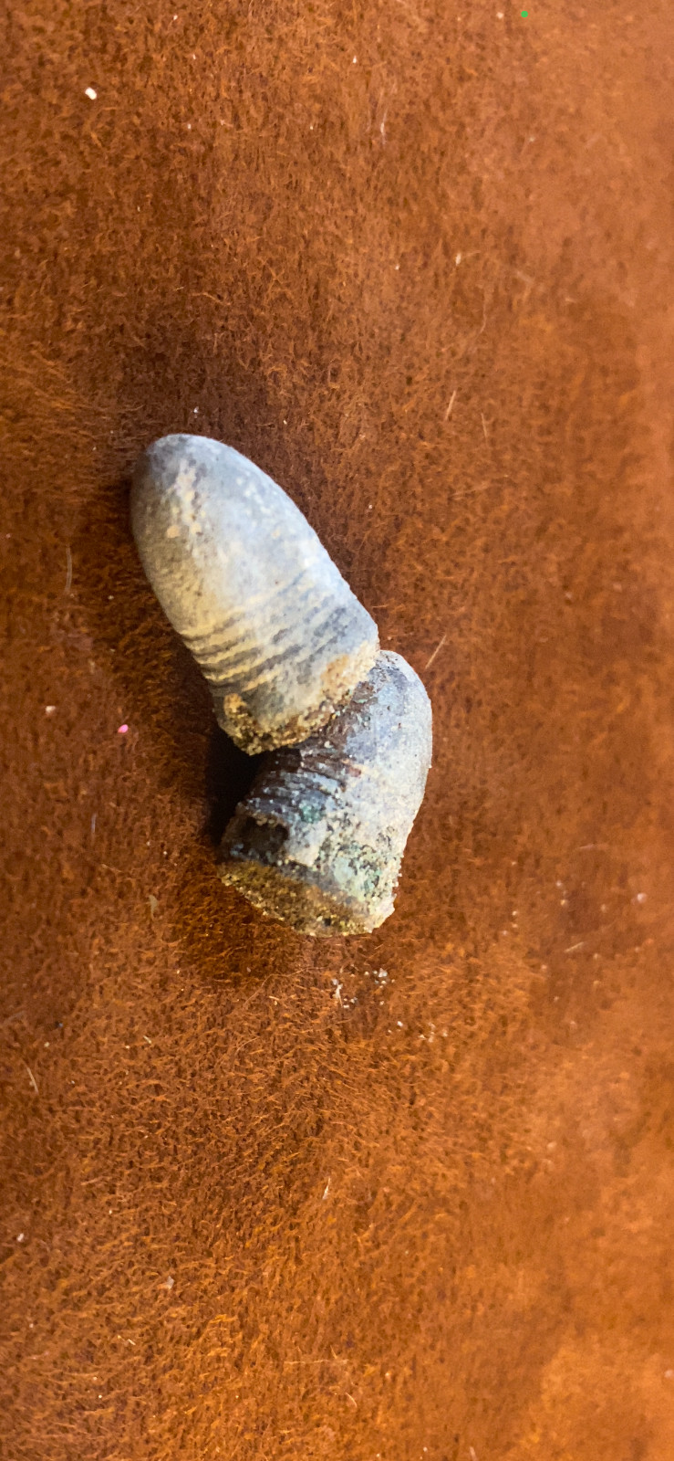 Two Antique .31 Caliber Volcanic Cartridges
