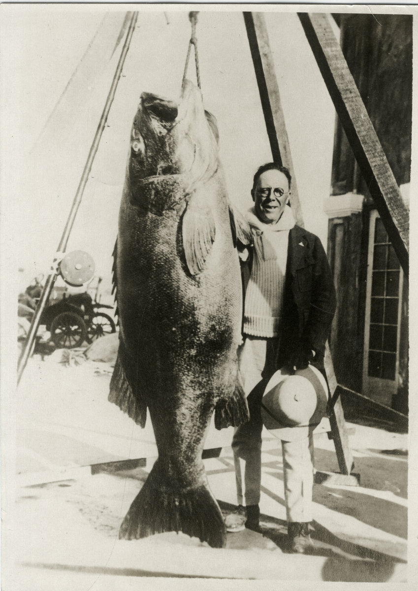 c.1920\'s PRESS PHOTO - QUITE A CATCH SEA ANGLER HUGE FISH 