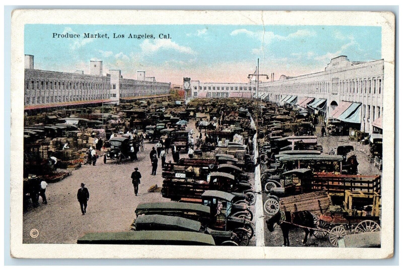 c1910's Produce Market Los Angeles California CA, Crowded Cars Antique Postcard