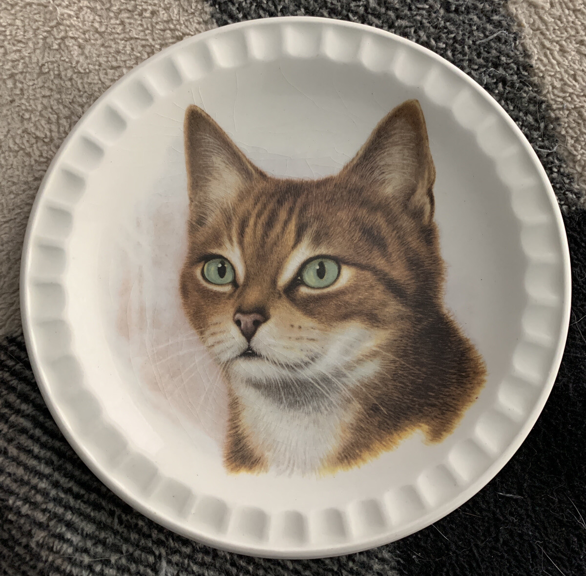 Vintage HOFFRITZ Porcelain 5\