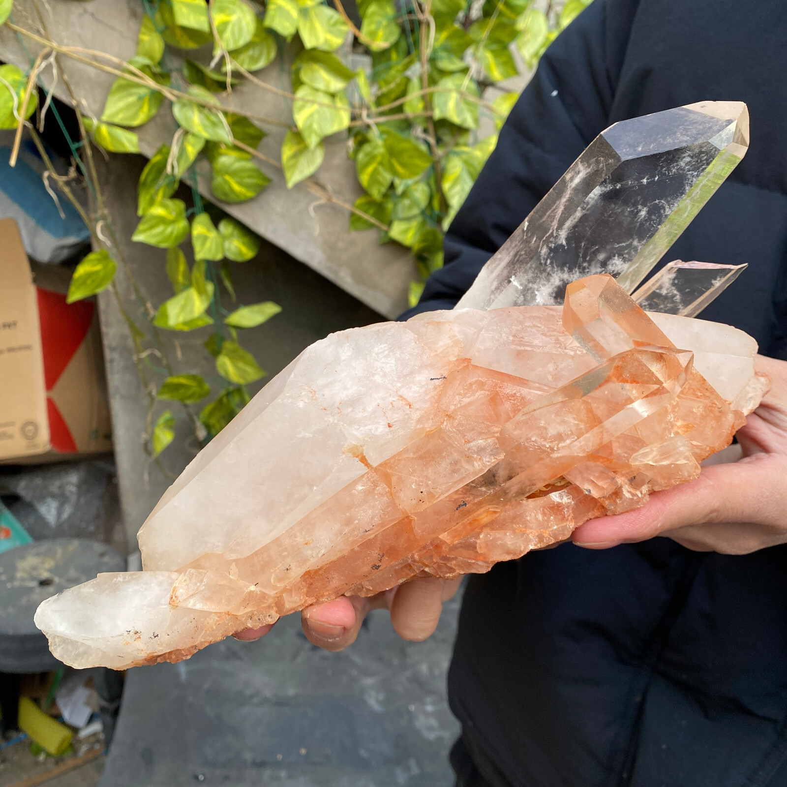 4.5lb Large Natural Clear White Quartz Crystal Cluster Rough Healing Specimen