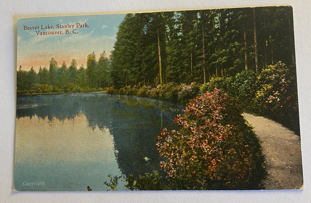Beaver Lake Stanley Park ~ Vancouver British Columbia Canada ~ Antique Postcard
