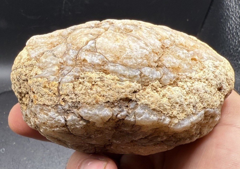 Fossilized Indiana Geode Quartz Crystal Whole 439 Grams Agate Brachiopod