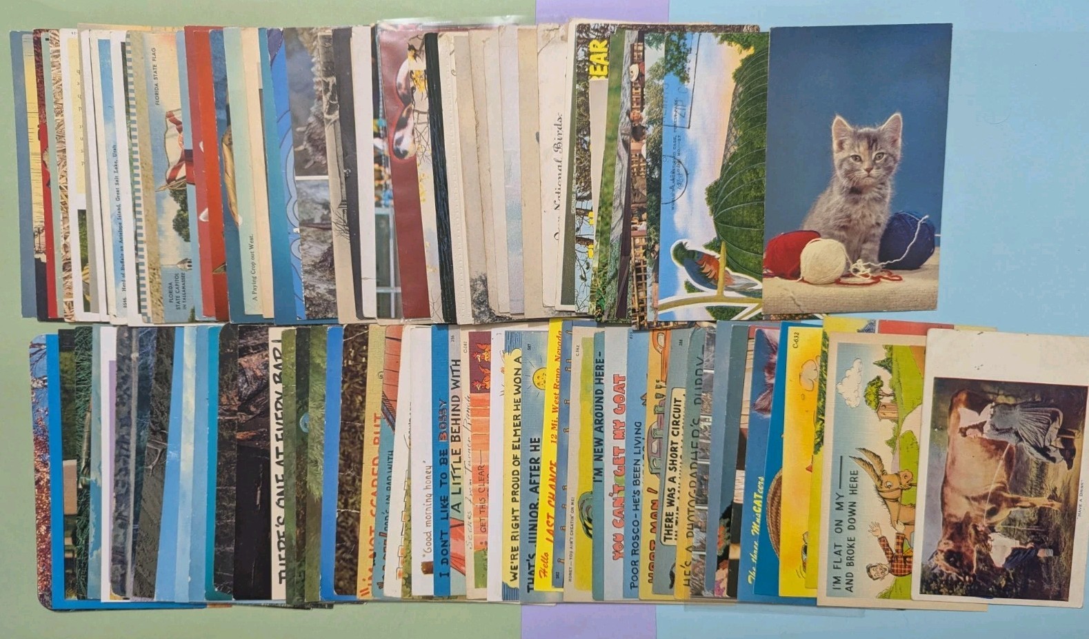 Lot of 100 Vintage Animal Postcards - Lithos, Linens, Chromes Lot of 100 Vintage Animal Postcards - Lithos, Linens, Chromes
