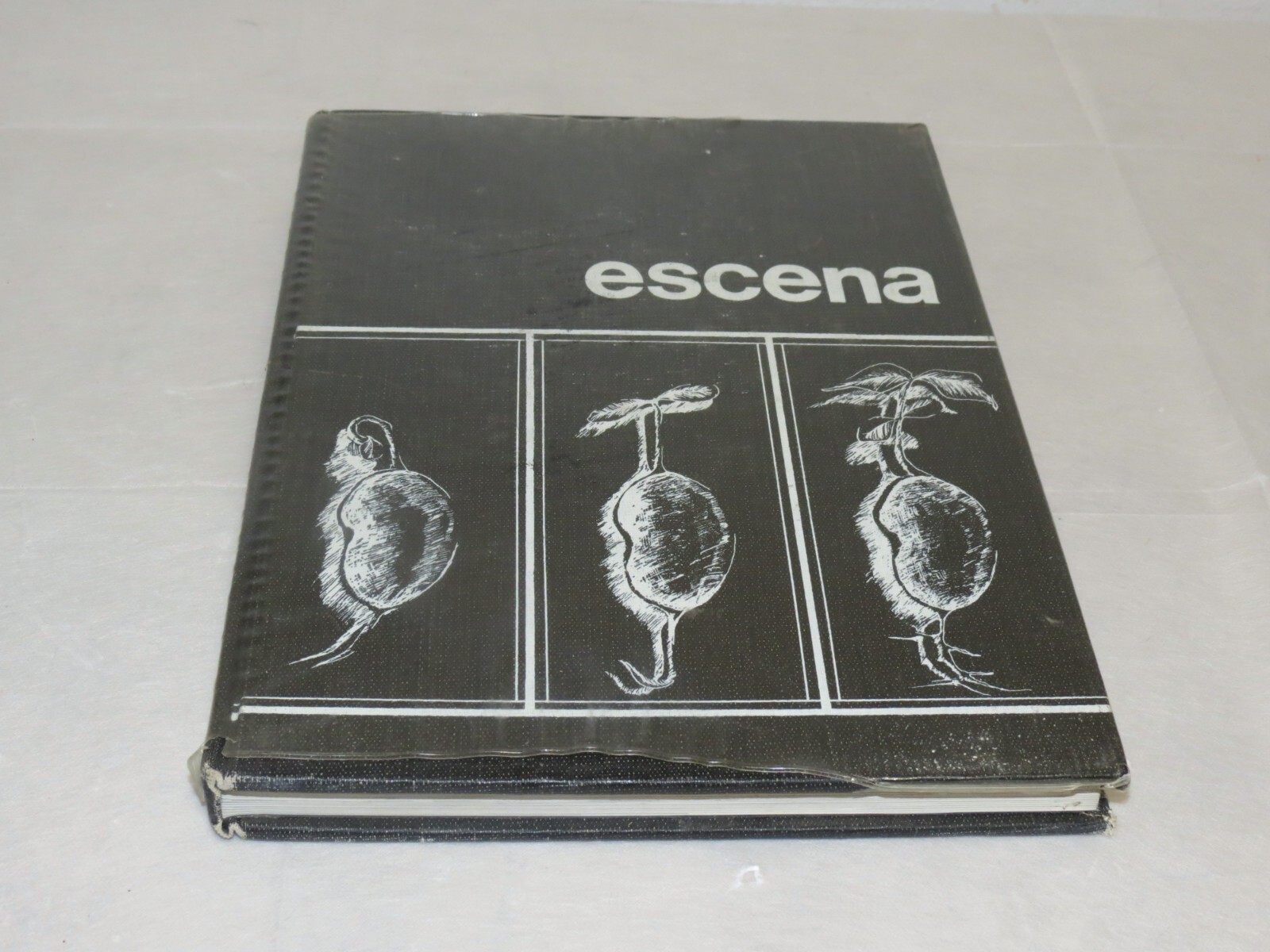 Escena Yearbook 1979 El Modena High School Orange California