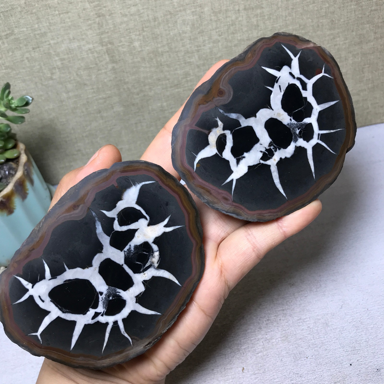 1 pair Natural Moroccan Turtle Back stone Cutting Energy specimen 576g A5653