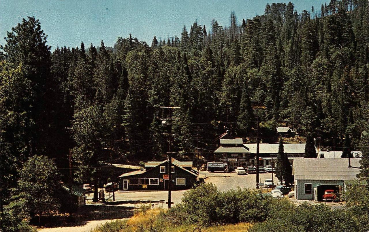 CEDARPINES PARK, CA Lake Gregory San Bernardino County c1950s Vintage Postcard