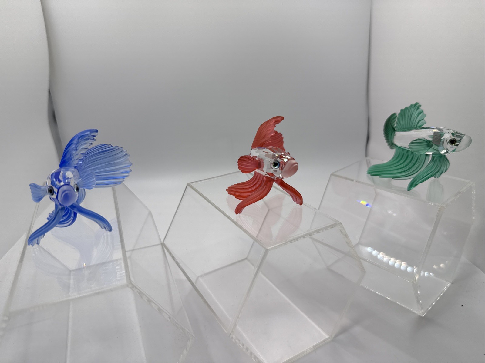 Swarovski SIAMESE FIGHTING FISH - RED /BLUE / GREEN ( 7644 NR 000 005/013/006) Swarovski SIAMESE FIGHTING FISH - RED /BLUE / GREEN ( 7644 NR 000 005/013/006)