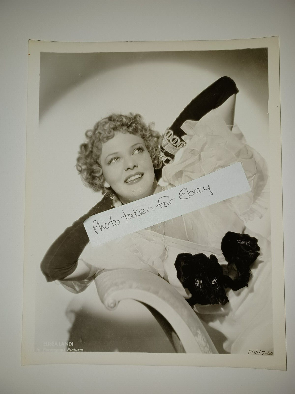 Vintage Original Elissa Landi Hollywood 1930s 8x10 photo