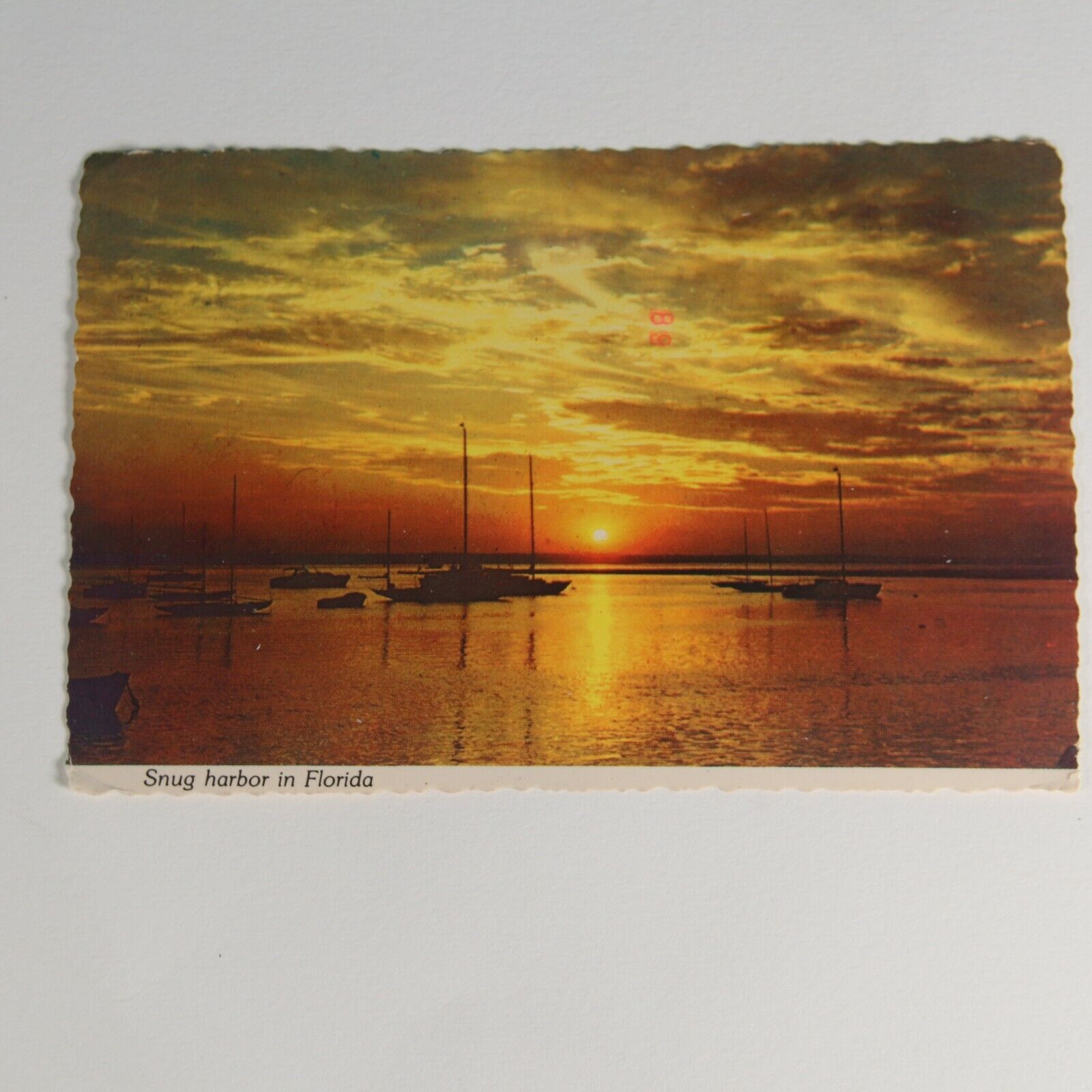 Vintage Postcard Snug Harbor, Florida - Post Marked 1979