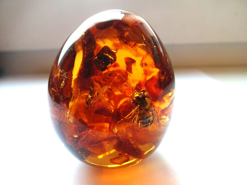 10 - Egg souvenir with Baltic Amber and insects inside 