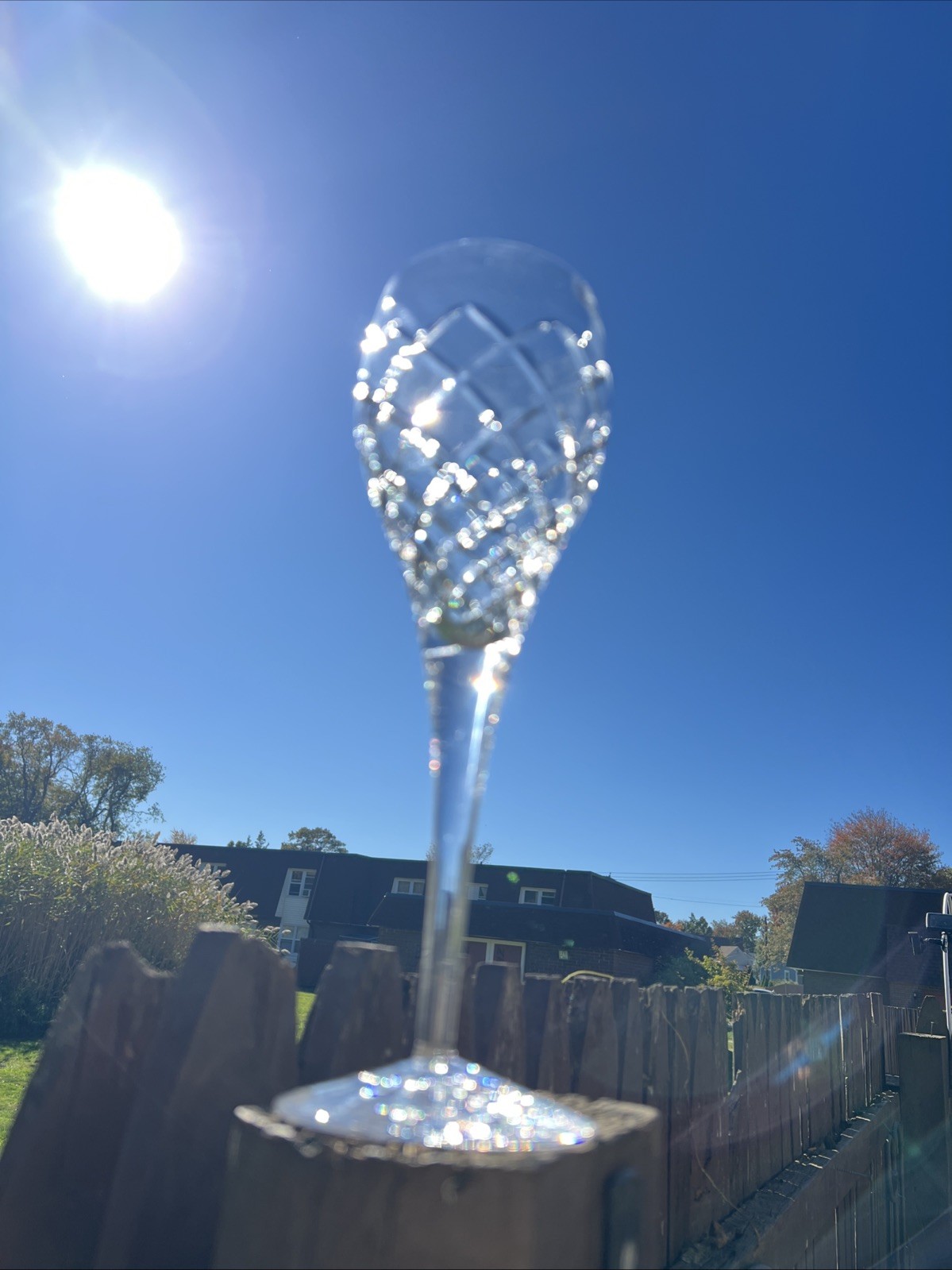 Violetta Crystal Wine Stemmed Glass Poland NWT Criss Cross