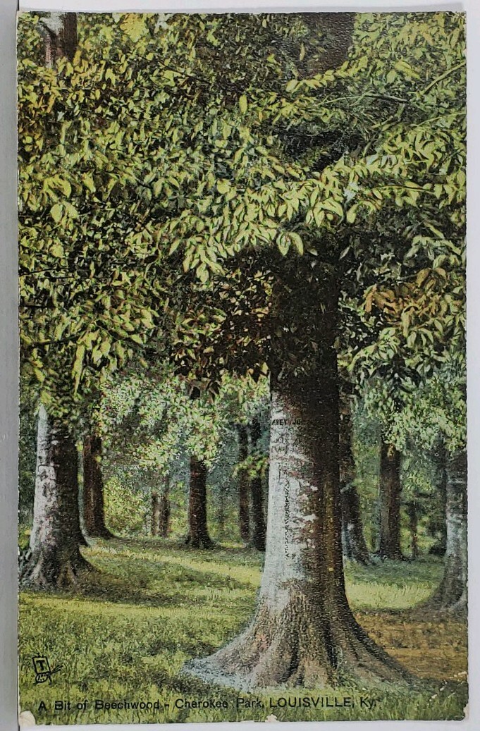 Louisville KY A Bit Beechwood Park 1907 Tuck to St Petersburg PA Postcard K9