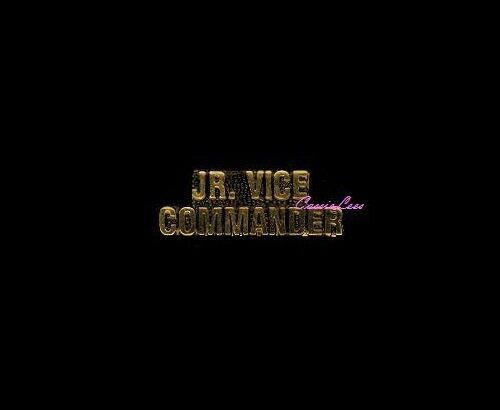 Jr. Vice Commander + a custom promo pin