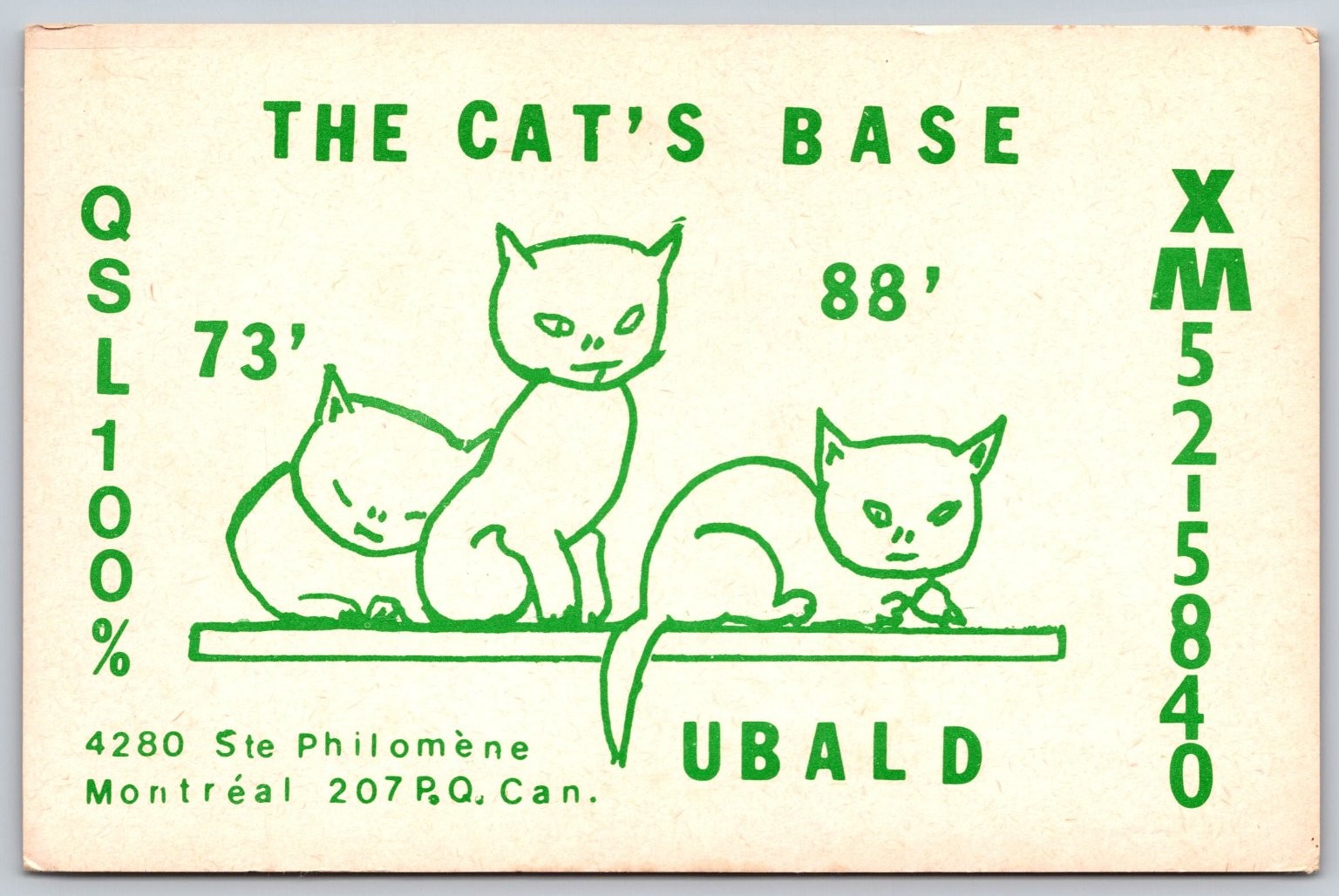 Vintage QSL Card The Cat\'s Base Montreal Quebec Canada Amateur Radio Cats B125