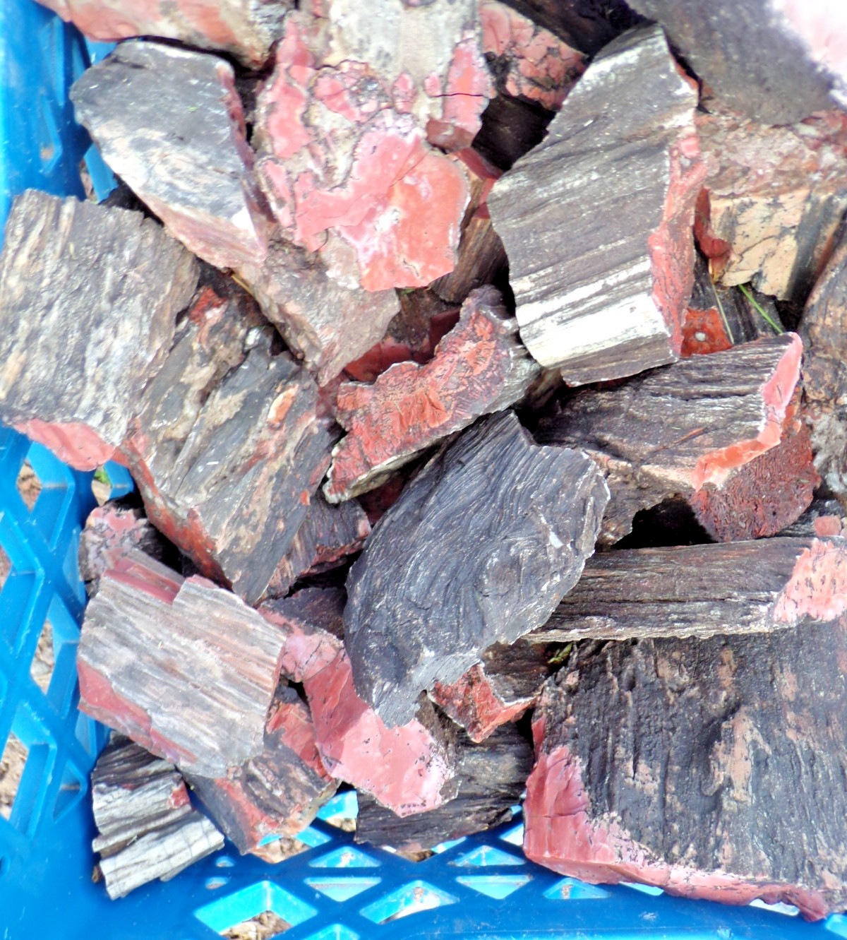 Love Red/Pink Petrified Wood Rough AZ 5 lb+ Lot from Chinle Formation