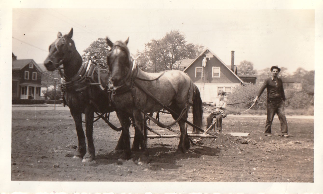 Vintage Photo Team of Horses Farm Life Plowing Field House Painter Rural America
