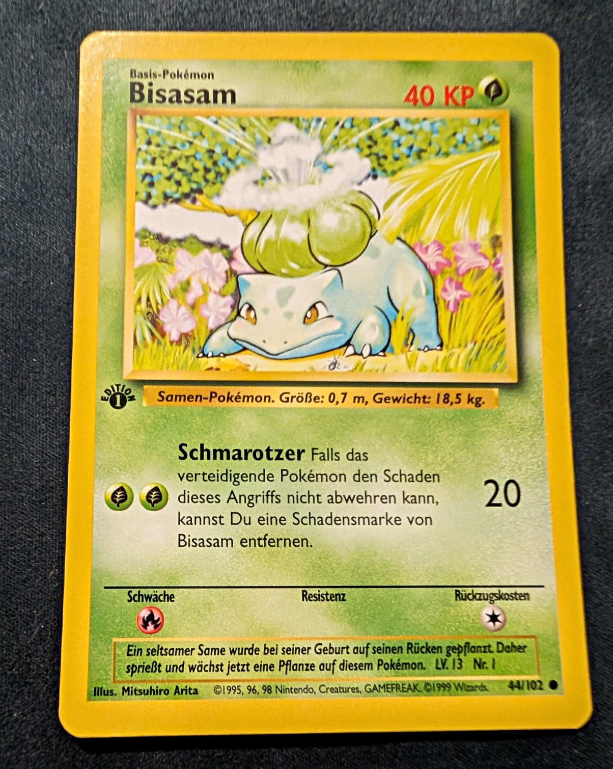 Bulbasaur Ivysaur German 1st Edition Base Set Pair Bisasam Bisaknosp Pokemon Bulbasaur Ivysaur German 1st Edition Base Set Pair Bisasam Bisaknosp Pokemon