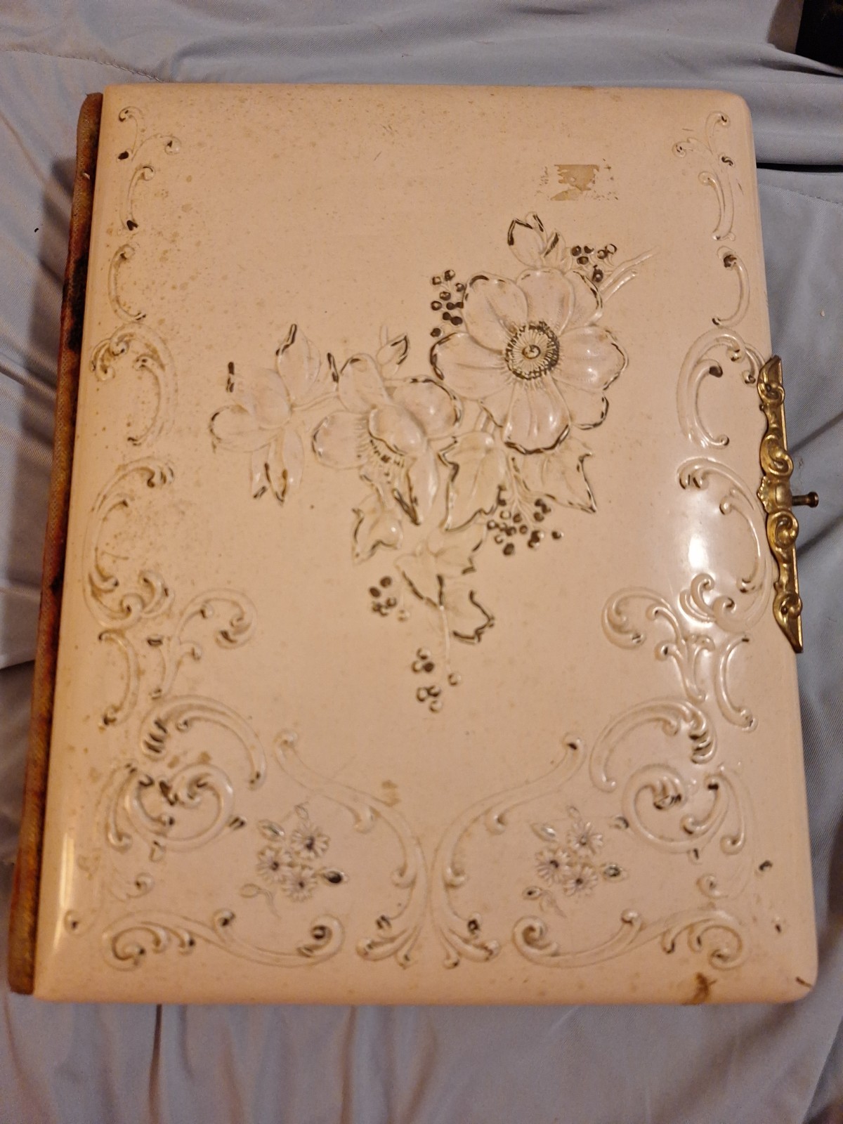 Antique Victorian Era Celluloid Photo Cabinet Card Album 