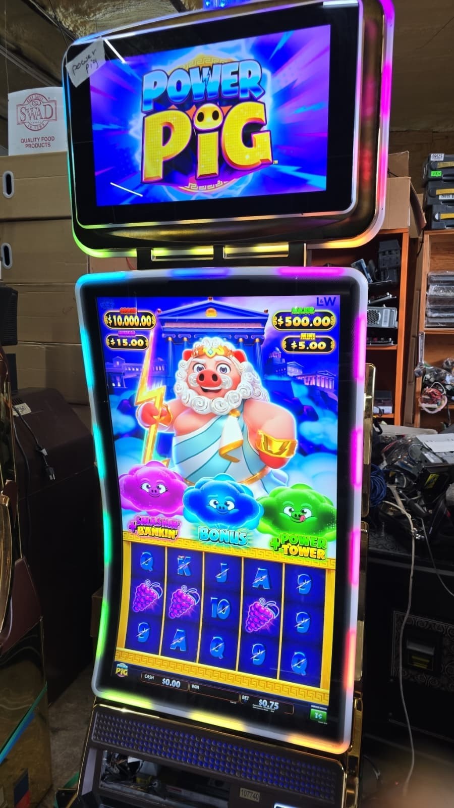 LNW SG Scientific Games power pig j43