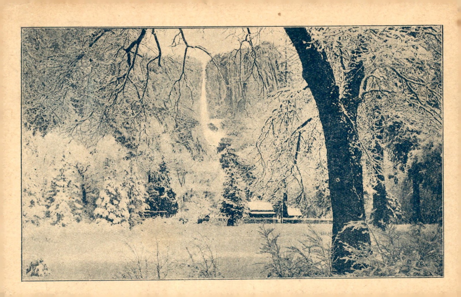 Christine Vik, Makinock School, 1908 Postcard Christine Vik, Makinock School, 1908 Postcard